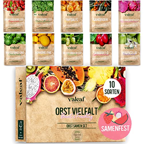 valeaf Obst Samen Set I 10 Sorten Obstsamen I Premium Saatgut Obst I Pflanzen Set inkl. Obst Samen I Erdbeersamen, Melonen Samen, Physalis, Drachenfrucht I Pflanzen Samen I ideales Samen Set Geschenk