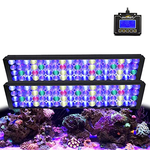 PopBloom T50 Meerwasser LED Aquarium-Beleuchtung für Salzwasser Meerwasser Aquarium Beleuchtungen weiß blaues Spektrum für Koralle Riffbecken 120cm Aquarium