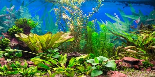 MIRRORANG 120x50cm Aquarium Hintergrund Wasserpflanze Flussbett & See Aquarium Poster Hintergrund Vinyl Hintergrund