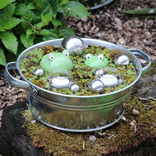 Storm's Gartenzaubereien Miniteich Komplett Set 2 Schwimmfrösche groß - klein 2 Teelichtschalen 6 Schimmkugeln und Zinkwanne