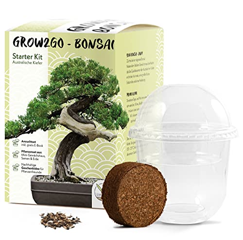 GROW2GO Bonsai Starter Kit Anzuchtset - Pflanzset aus Mini-Gewächshaus, Samen & Erde - nachhaltige Geschenkidee für Pflanzenfreunde (Australische Kiefer)