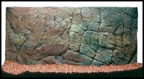 3D Aquarium Rückwand 60x30 Aquariumrückwand Dünn