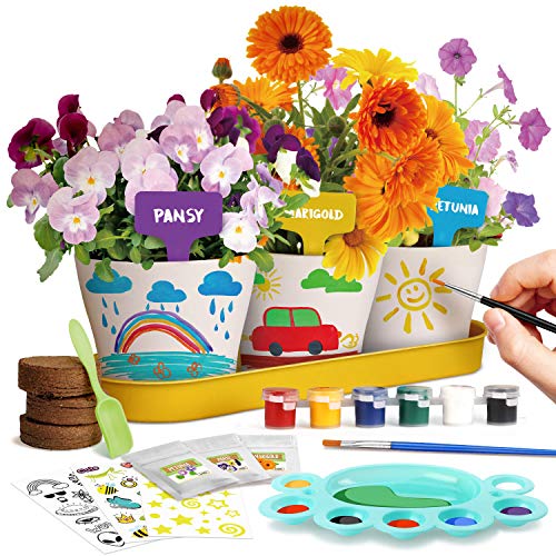 Dr. Daz Malen Garten Anzuchtset Pflanzen Geschenk Kinder Blumen Bonsai Pflanzen Züchten Kinder Set Experimentierkasten Ab 4 5 6 7 8 9 10 Jahre Mädchen