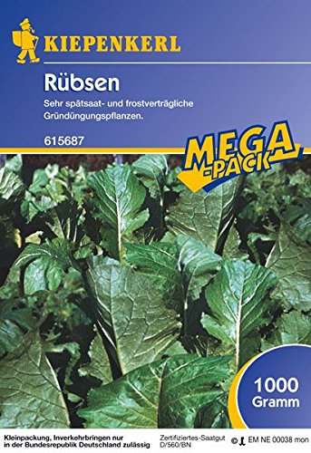 Rübsen, 1 kg, Brassica rapa - 1 Foliensack/ 1 kg