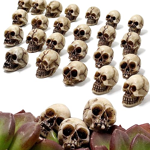 YumSur 20 Stück Harz Totenkopf Set Mini Totenkopf Figur Mini Schädel Totenkopf Modell Totenschädel Figur Deko Skelett Modell Landschaft Garten Topfpflanze Dekoration