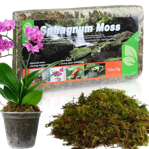 Sphagnum Moos für Pflanzen (5L / 1er Pack) - Vielseitige Blumenerde für Orchideen, fleischfressende Pflanzen, Sukkulenten, Gartenblumen und Reptilien.