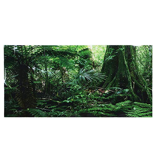 Cikonielf 3D Effekt Regenwald Poster Selbstklebende Reptilien Terrarium Aquarium Hintergrund Aquarium Wandaufkleber Aquarium Hintergrund Unterwasser Poster PVC Dekor Tapete(91 * 50cm)