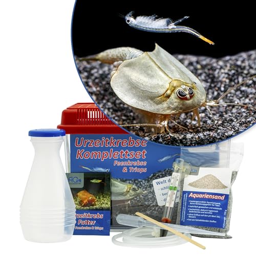 AQ4Aquaristik Triops und Feenkrebse Urzeitkrebse Starter Set: Eier, 2,5 Liter Kunststoff Aquarium mit Zubehör, Futter und Anleitung