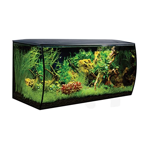 Fluval Flex Aquarium 123L, Süßwasser Aquarium, schwarz