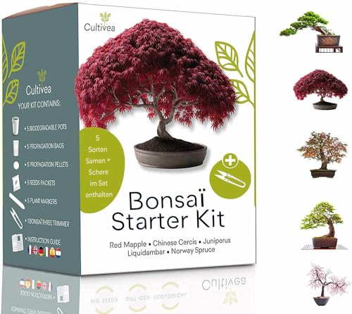 Bonsai Starter Kit – Set Bonsai Anzuchtset 5 verschiedene Bonsaï-Samen – Wachstumsanleitung enthalten - Züchten Sie Ihren wunderschönen Bonsai – Geschenkidee für Männer und Frauen - CULTIVEA®
