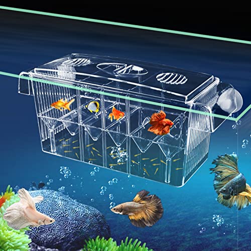 CSPone CSPone Ablaichkasten Aquarium Klein Laichbecken Aquarium Fisch-Züchterbox Zuchtbecken Aufzuchtbecken Noppen Transparent Trennwand für ​Fische