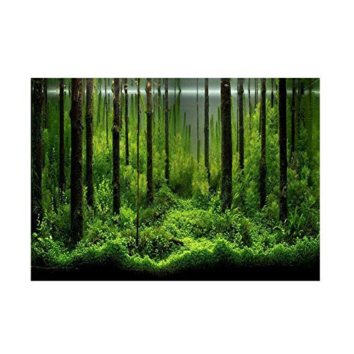 Aquarium Hintergrund Aufkleber, Haofy PVC Klebstoff Aquarium Poster mit Unterwasser Meeresboden Waldmuster, Fish Tank Hintergrund Dekoration Papier für Aquarium Dekoration