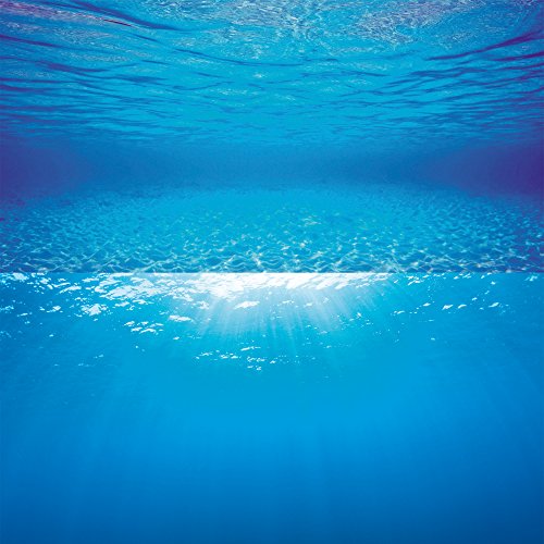 Juwel Aquarium - Poster 2XL - passend für Aquarien 120 x 60 cm bis 150 x 60 cm