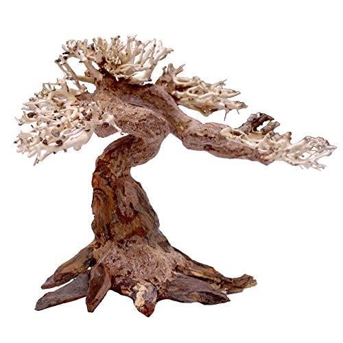 Amtra - Oriental Wind 5 Holz, handgefertigt, für Aquarien, 25x10x18 cm, Small