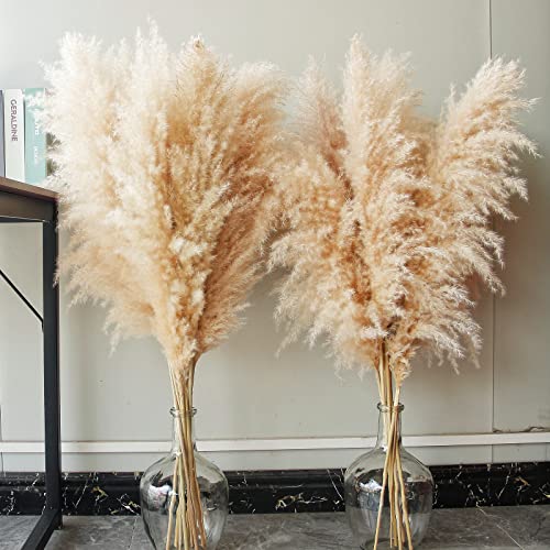 10 Stück Pampas Grass groß, Pampas Grass XXL, Pampas Grass Deko Gross für Boho DekoWohnzimmer Tisch Schlafzimmer Hochzeits Badezimmer(100cm)