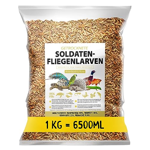 Soldatenfliegenlarven getrocknet 1kg (entspricht 6,5 Litern), Black Soldier Flys, Vogelfutter, Igelfutter mit Insekten, Fischfutter, proteinreicher Snack für Reptilien und Schildkröten