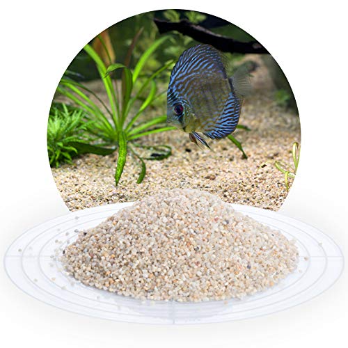 Schicker Mineral – 25 kg Aquariumkies Beige – grober Aquariumsand gewaschen & ungefärbt – kantengerundeter Bodengrund Kies für Süßwasseraquarien & Meerwasseraquarien (Ø Körnung: 1,4-2,2 mm)