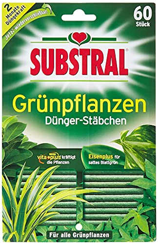 Substral Dünger-Stäbchen für Grünpflanzen mit Eisen-Plus und 2 Monate Langzeitwirkung, 60 Stück