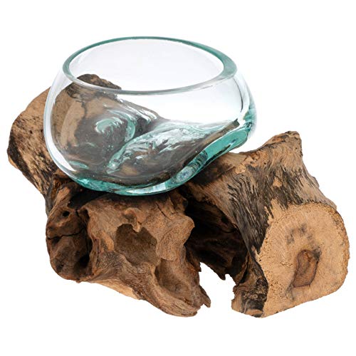 Nexos Handgemachte mundgeblasene Glasschale auf Wurzelholz Glasvase Dekoschale aus Glas Ø10cm ca. 18 x 14 cm Reine Handarbeit Gamal Teak Holz