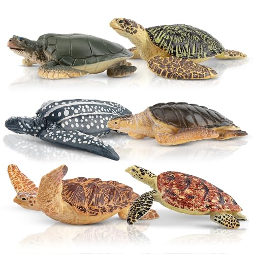 TOYMANY 6 Stück Schildkröten Figurines Realistische Schildkröte Tiere-Figuren Set Ocean Spielfiguren Spielzeug MeeresTierfiguren realistisch, Schildkröte Spielzeug für Kinder,zum spielen oder als Deko