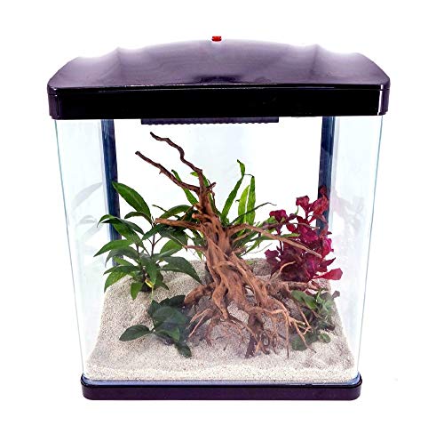 AquaOne Aquarium Komplettset LED mit Pumpe HR-300 schwarz I Kleines Nanoaquarium 14 Liter I Mini Nano Becken Set für Fische und Garnelen