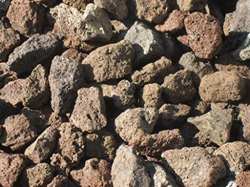 Der Naturstein Garten 12,5 kg Lava Mulch 16-32 mm - Pflanzgranulat Schneckenschutz - Lieferung KOSTENLOS (deutsches Festland)