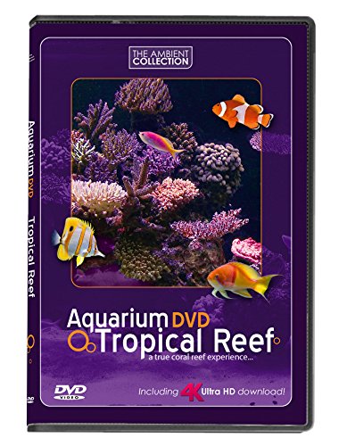 Aquarium DVD | TROPISCHES RIFF mit 4K ULTRA HD Download mit Natürlichen Geräuschen und Entspannender Musik