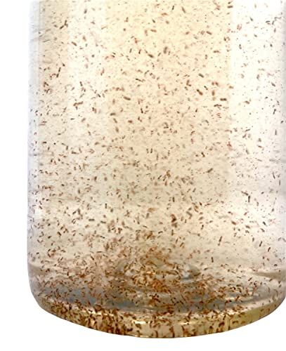 Lebendfutter Tigerpods 500ml Tiggerpods Tigriopus californicus Rädertierchen Mix Meerwasser lebendes Futter Zooplankton