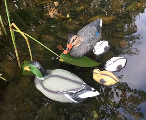 LB H&F 5er Set Teichtier Schwimmfigur Entenfamilie Teichfigur Erpel, Ente mit Entenküken Teichdeko Miniteich Schwimmtier Gartenteich Dekofigur Garten Teich (Entenfamilie)