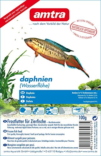 Amtra Daphnien Wasserflöhe Blister 10x100g (1kg)