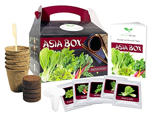 Magic of Nature Asia Box - Anzuchtset - 5 Kräuter und Gemüse Samen für die Asiatische Küche - Zum Selberzüchten oder zum Verschenken