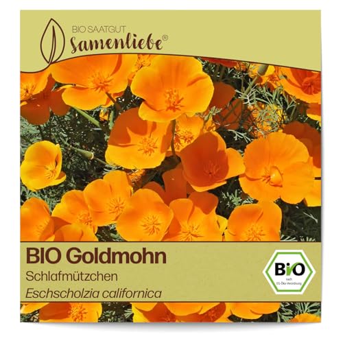 Samenliebe BIO Goldmohn Samen alte Sorte Schlafmützchen 200 Samen samenfestes Blumen Saatgut für Garten Freiland und Balkon BIO Blumensamen