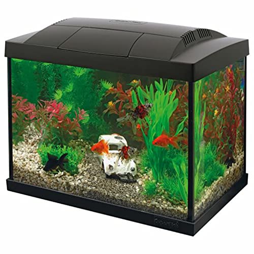 SF Goldfisch Start Set 20 schwarz inkl. LED Lampe, Innenfilter, Wasseraufbereiter, Futter, Thermometer und Kescher