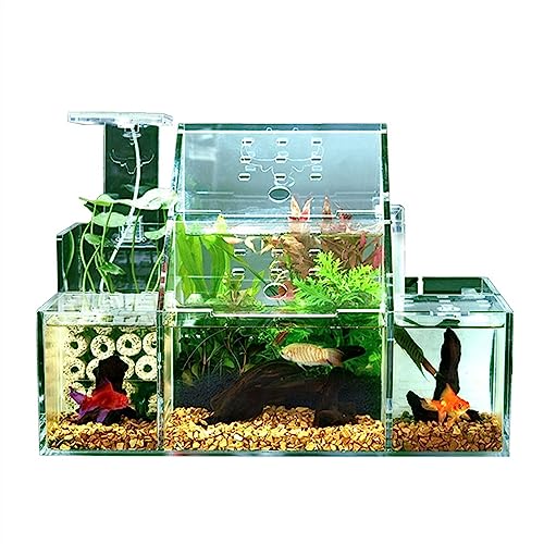 FUHAI-666 Fischbehälter Ökologische Aquarium-Desktop-Zucht, Schlüpfen, spezielle Aquarium-Isolationsbox, zirkulierende Wasserfiltrationspumpe, Heimbüro-Aquarium-Dekoration Aquarium-Set