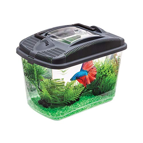 AQUAEL 114563 Betta Kit, schwarz, 790 g