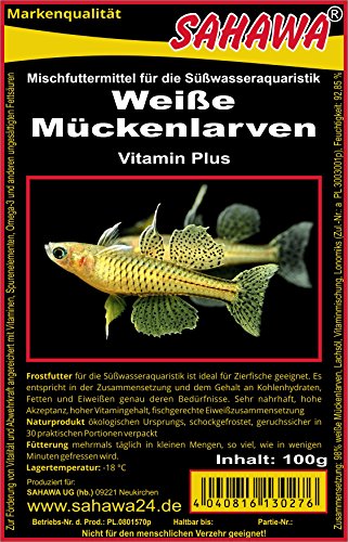 Weiße Mückenlarven, Frostfutter 5X Blister a 100g verpackt mit Trockeneis -78°C, Aquarium, Aquaristik, Fischfutter, Frostfutter