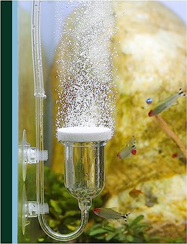 Aquarium Luftstein, Zubehör für Aquarienluftpumpen Kit mit Steuerventil Leise Super-High Diffusor für gelösten Sauerstoff Lässt Super Tiny Bubbles für Aquarium und Hydroponic (35mm)