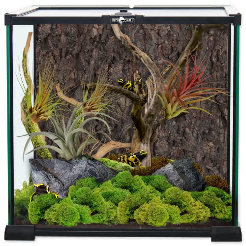 ReptiPlanet Glas Terrarium 30x30x30cm