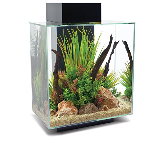 Fluval Edge 2.0 Aquarium, 46L, schwarz, 1 Stück (1er Pack)