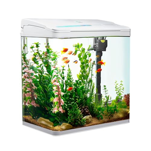 VIALIA Aquarium Komplettset mit LED-Beleuchtung, Pumpe und Filter, 30x20x32 cm, 18 Liter, Weiß, Glasbecken für Fische und Wasserpflanzen