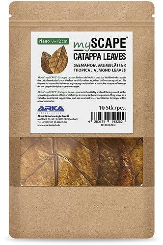 ARKA mySCAPE-CATAPPA Leaves - 8-12cm / 10 Stück - Natürlicher Wasseraufbereiter aus Seemandelbaumblättern für Süßwasseraquarien, verbessert Gesundheit von Fischen & Garnelen