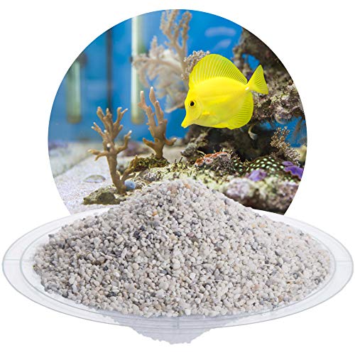 Schicker Mineral – 25 kg Aquariumkies Weiß – grober Aquariumsand gewaschen & ungefärbt – kantengerundeter Bodengrund Kies für Süßwasseraquarien & Meerwasseraquarien (Ø Körnung: 2,0-3,5 mm)