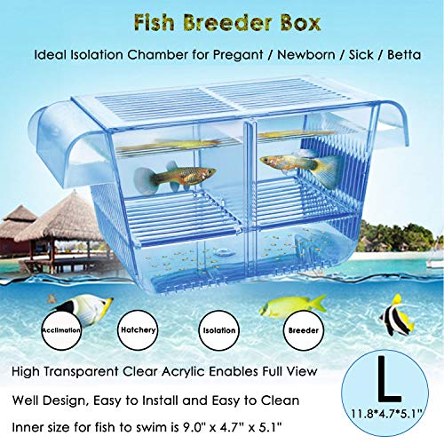 capetsma Fischzuchtbox, Acryl-Fischisolationsbox mit Saugnäpfen, Aquarium-Acclimation, Brutapparat für Babyfische, Garnelen, Clownfische und Guppy