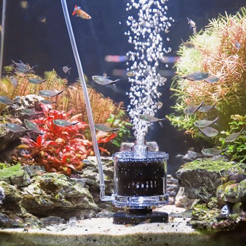 AQQA Aquarium Schwammfilter, Klein Aquarium Filter Bio,Aquarium Innenfilter Sauerstoff Dissolver mit Luftstein,für Züchtung Fry Shrimp Betta Fisch Tank