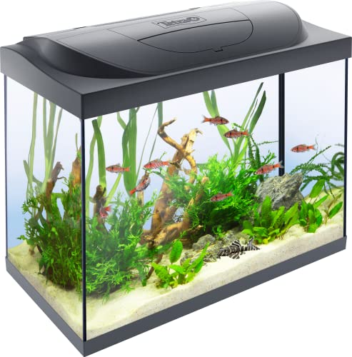 Tetra Starter Line 80 L Aquarium Komplett-Set - inkl. Tag- & Nachtlicht LED-Beleuchtung, Innenfilter, Heizer, Fischfutter und Wasseraufbereiter