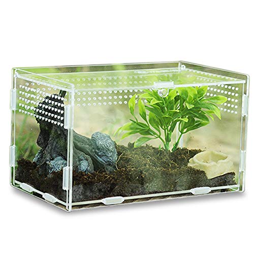 Keweni Insect Feeding Box, Acryl-Terrarium-Behälter für Spinnenechsen-Frosch-Skorpion, Tragbarer Kriechender Haustier-Reptilien-Lebensraum, Anti-Flucht-Design (klar1)