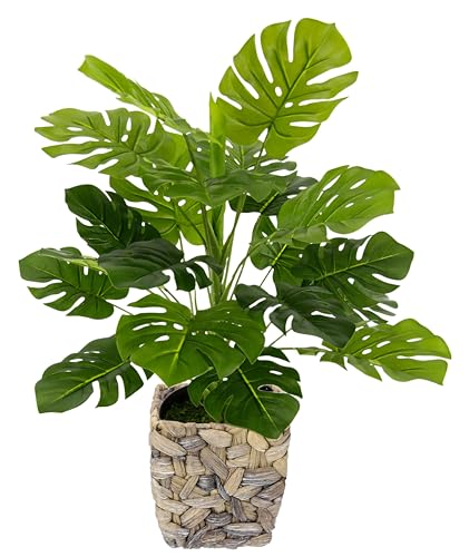 Flair Flower Künstliche Splitphilo-Pflanze mit Übertopf Monstera Deko Kunst-Pflanze Seidenblumen Seidenpflanzen Real Touch grün groß Grünpflanze Büropflanze, 044472GN, 46x35x35 cm