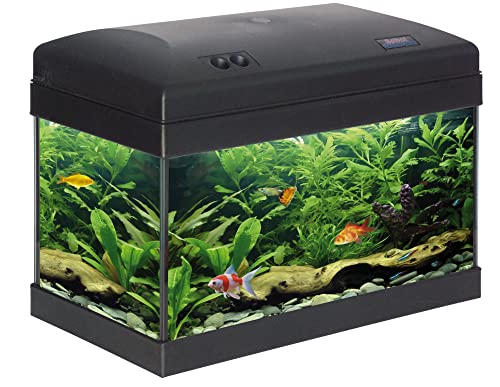 Haquoss Evolution 40 Aquarium 40 x 23 x 34h cm, 21 Liter, mit Licht LED 4 Watt, komplett bestückt