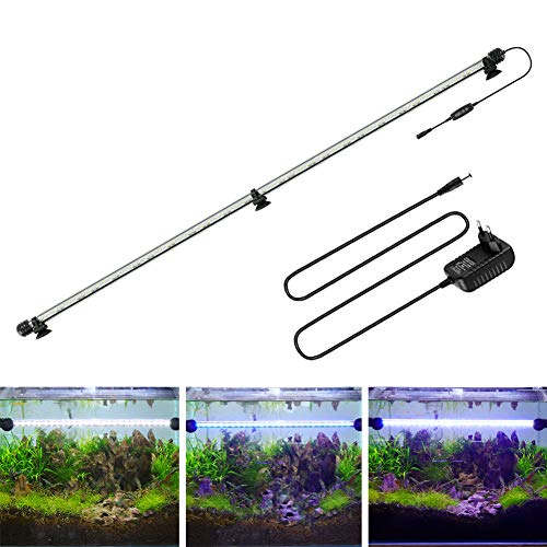 BELLALICHT LED Timer Aquarium Beleuchtung - Aquarien Lampe [Weiß Blau Licht] mit eingebautem Timer Dimmer, Dimmbar 10 Helligkeitsstufen IP67 Wasserdicht Light für Fisch Tank Pflanze, L-93