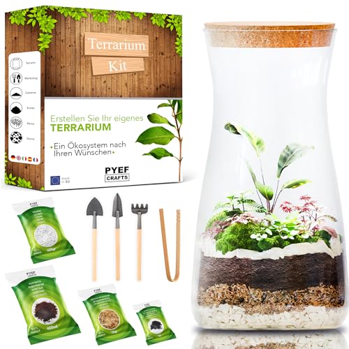 Flaschengarten Komplettset zum Schaffen EIN Ökosystem im Glas - Terrarium Starter Kit zum Anlegen EIN Biotop im Glas - Ain-Pflanze- (Kit mit Flasche)